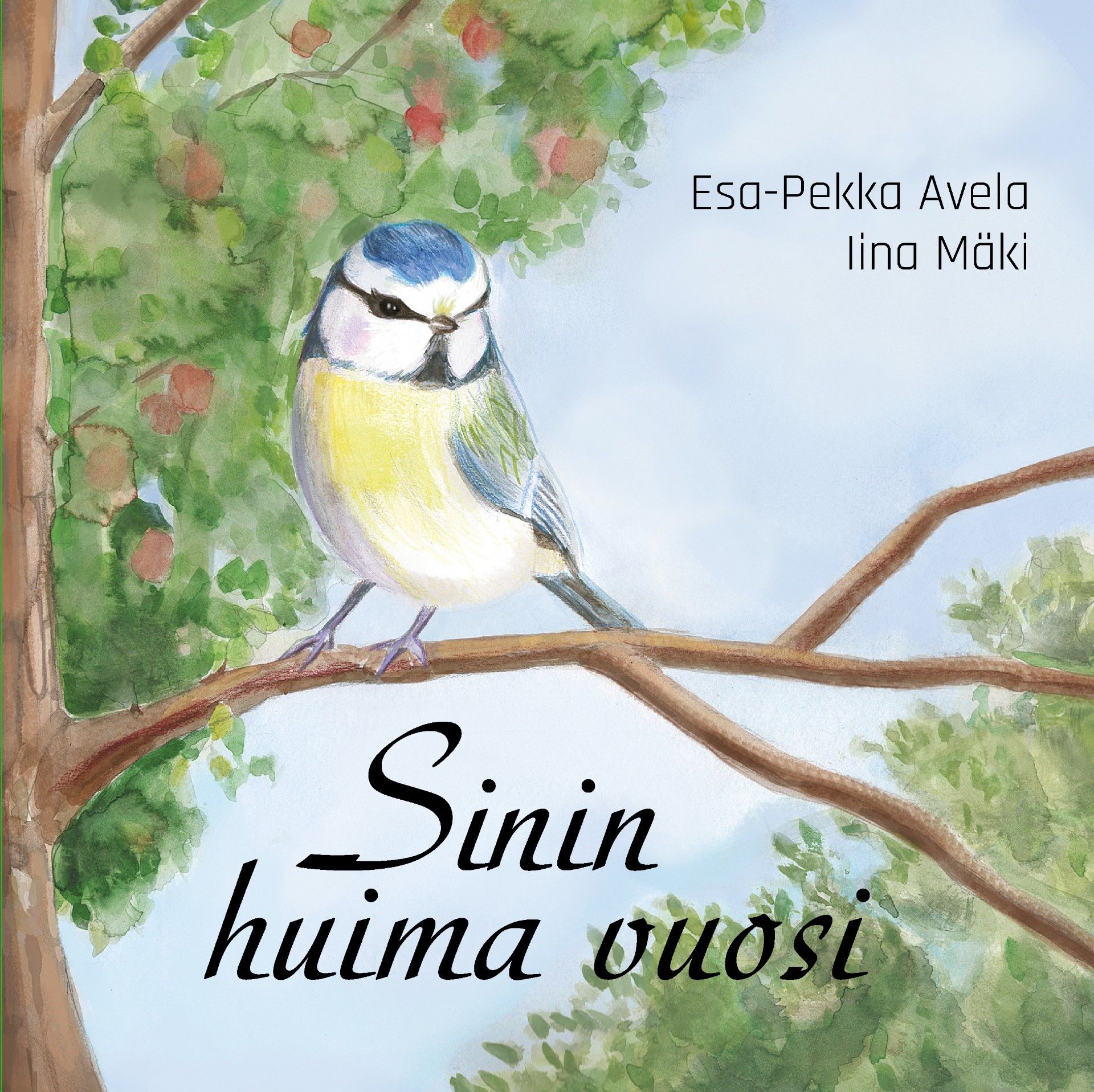 Sinin huima vuosi