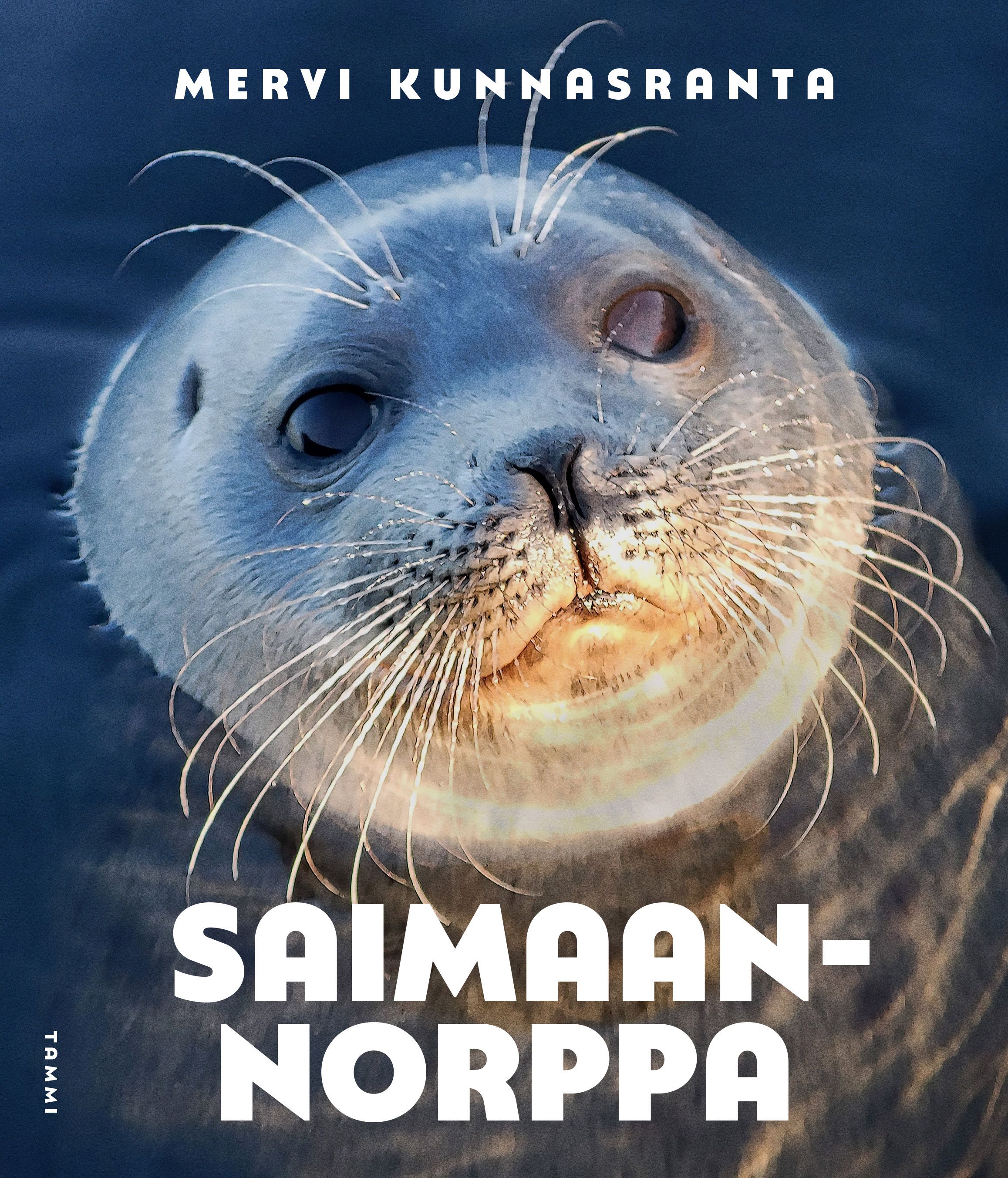 Saimaannorppa