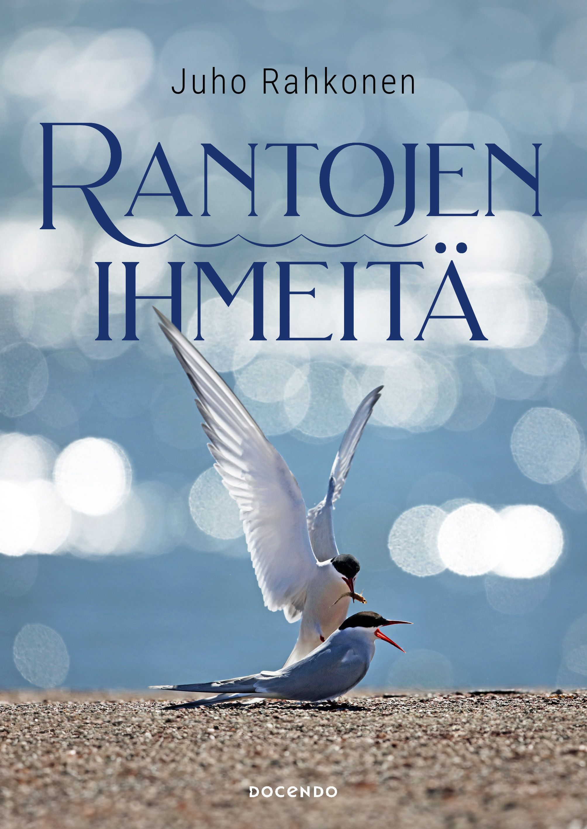 Rantojen ihmeitä