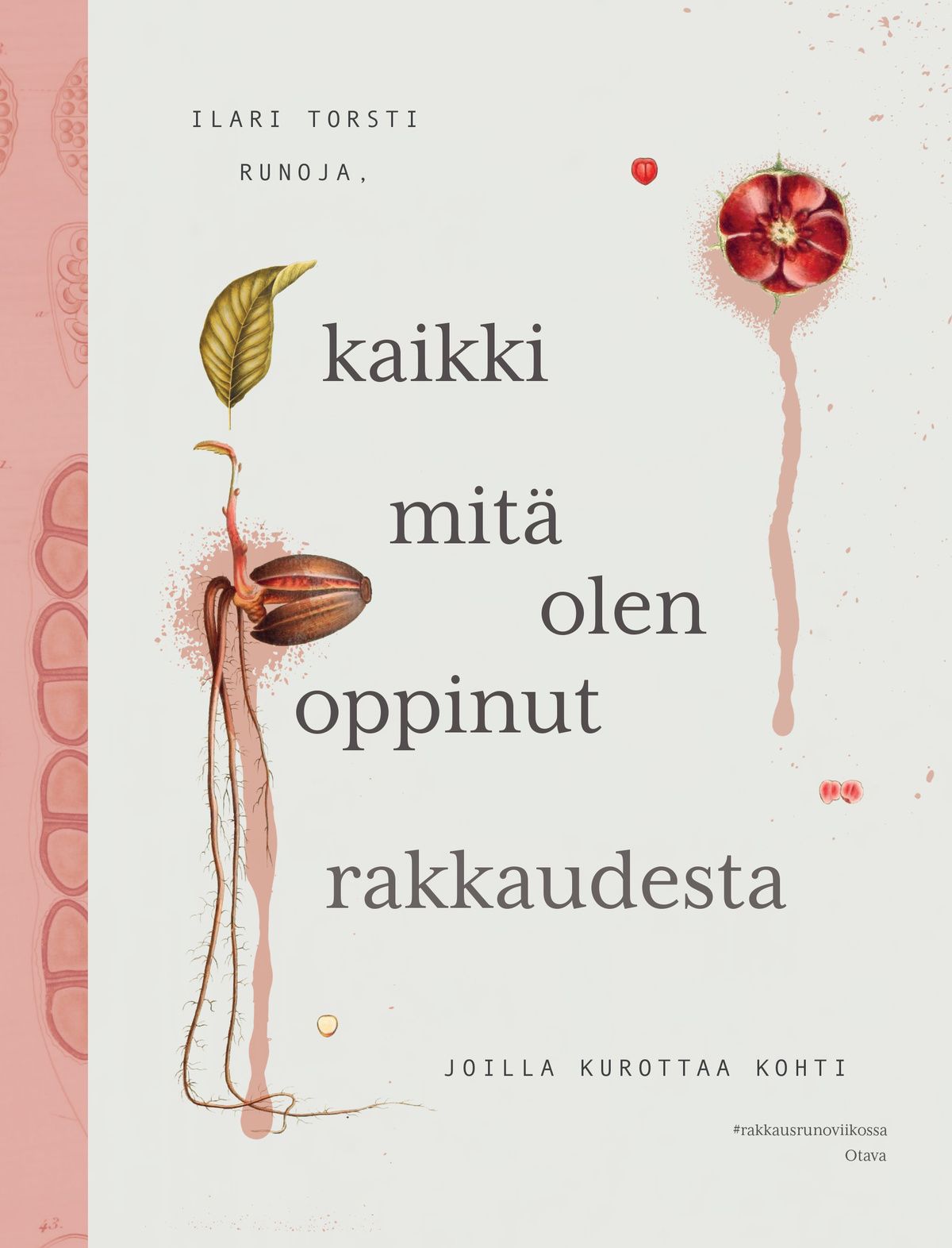 Kaikki, mitä olen oppinut rakkaudesta