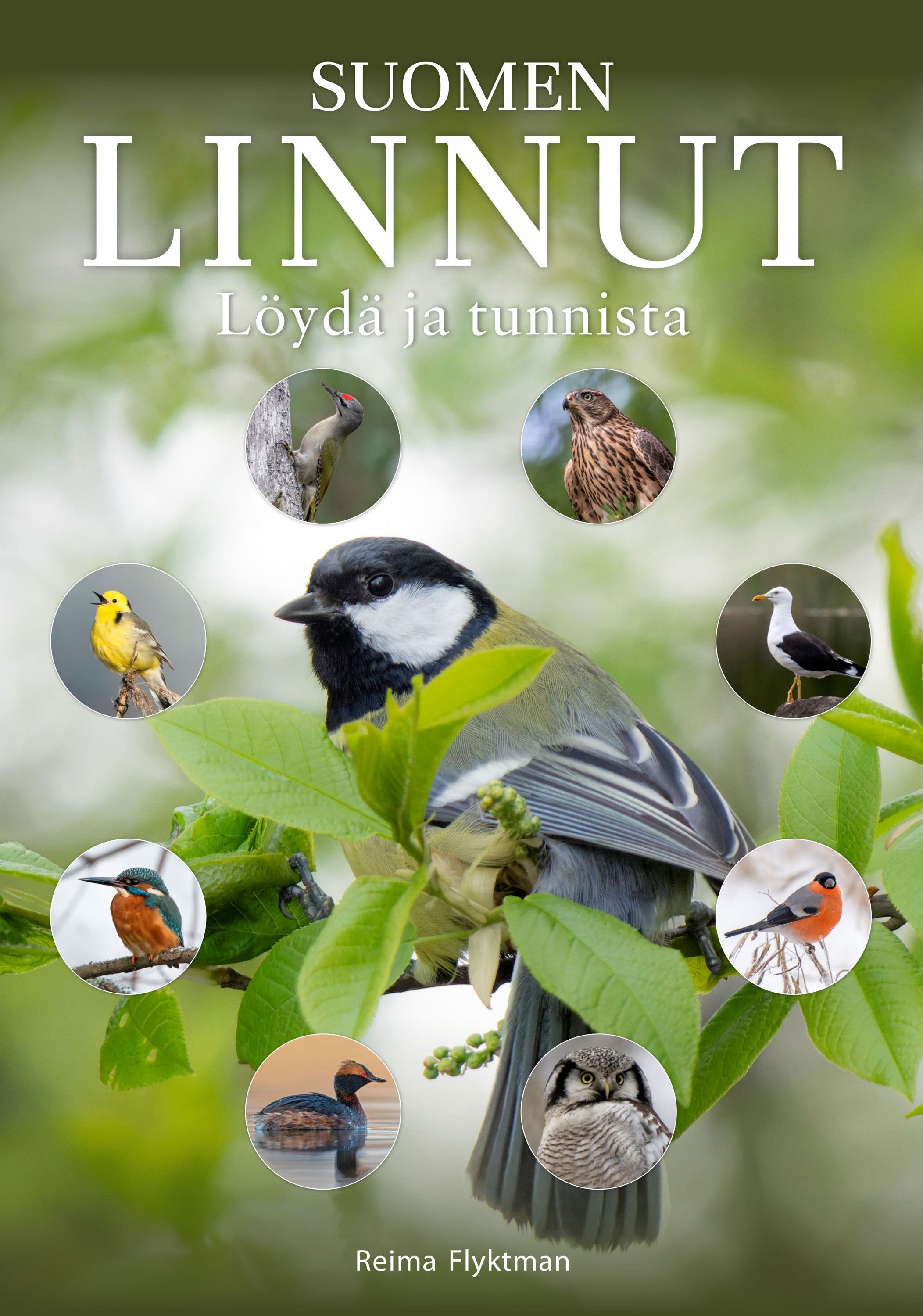 Suomen linnut - Löydä ja tunnista - Kerää kaikki!