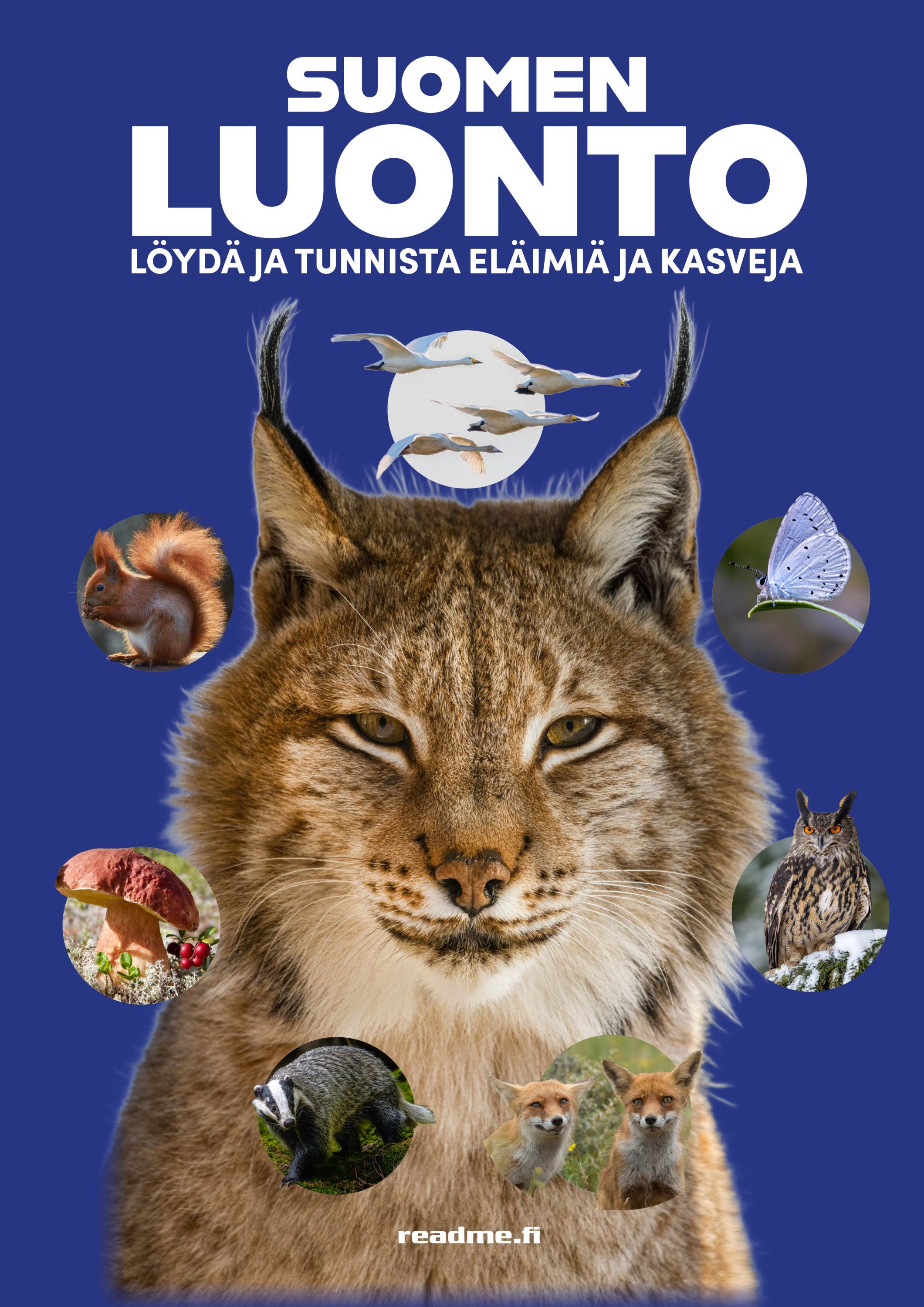 Suomen luonto - Löydä ja tunnista eläimiä ja kasveja
