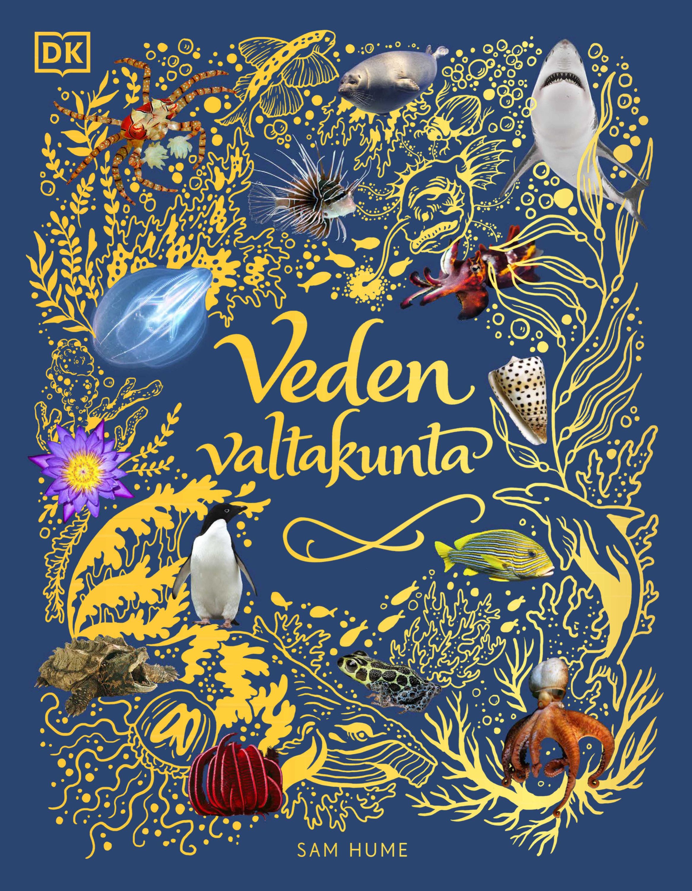 Veden valtakunta