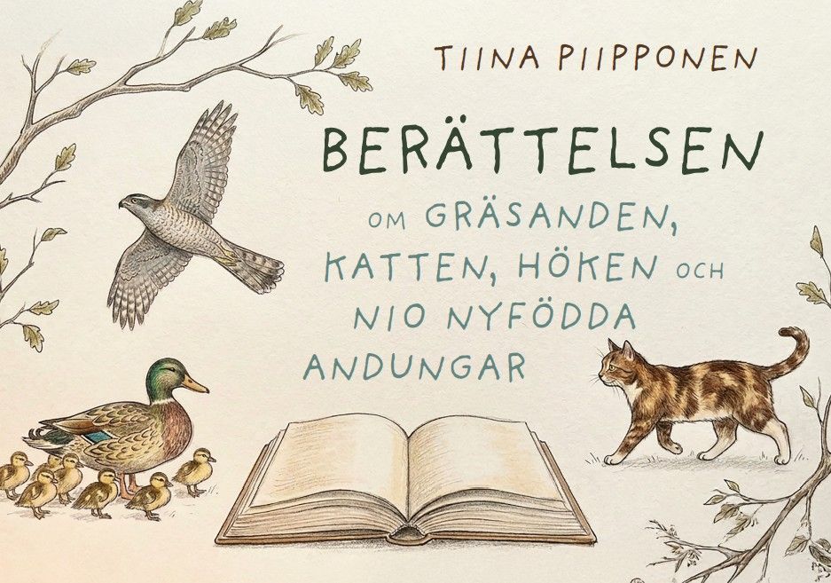 Berättelsen om höken, en katten, gräsanden och 9 nyfödda ankungar
